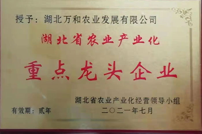 万和茯砖茶批发